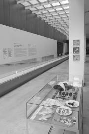 Polska-Izrael-Niemcy. Doświadczenie Auschwitz. (MOCAK)