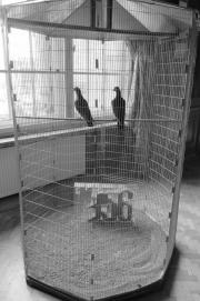 Oko pamięci. Hoheisel&Knitz, Upamiętnienie poznańskiego Czerwca 1956.Fot. M.Smolińska 