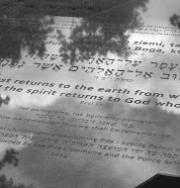 Pomnik upamietniający cmentarz żydowski w Pile