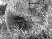 Grota przemiany. Kabalistyczne tropy w Dobrzycy